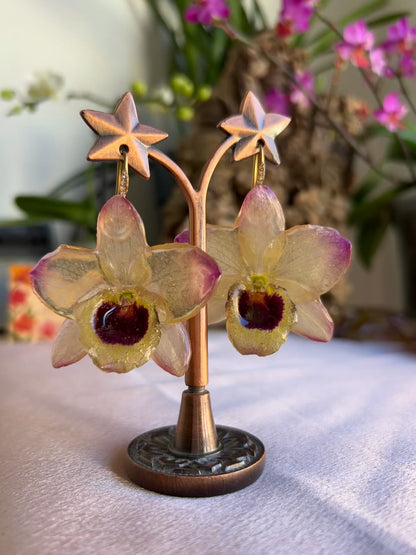 Pendientes Dendrobium sunny eyes